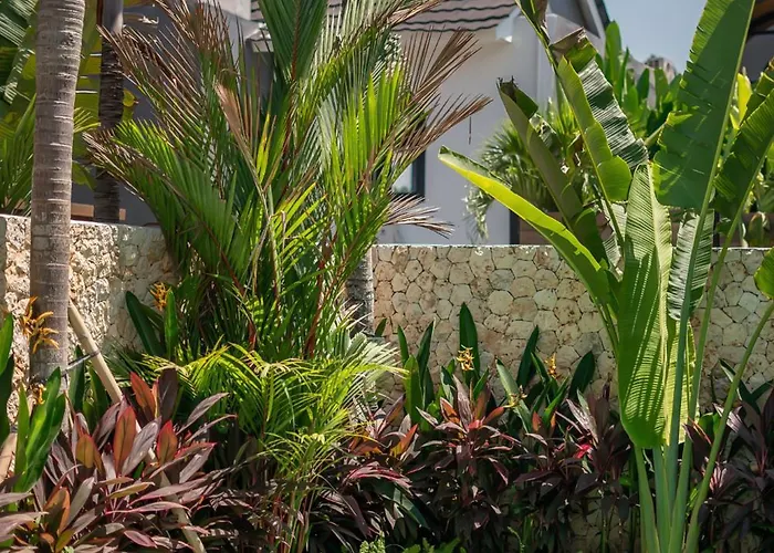 Delight - Brand New 5br In Canggu (Bali)